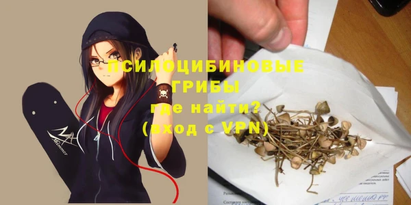 а пвп мука Белокуриха