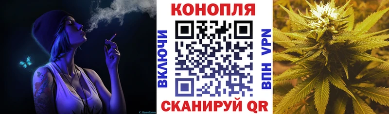 Бошки Шишки MAZAR  Кувшиново 